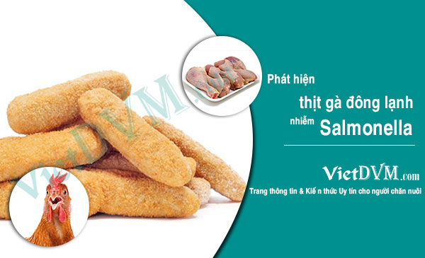 Thịt gà tẩm bột khô đông lạnh. Thịt gà tẩm bột khô đông lạnh.