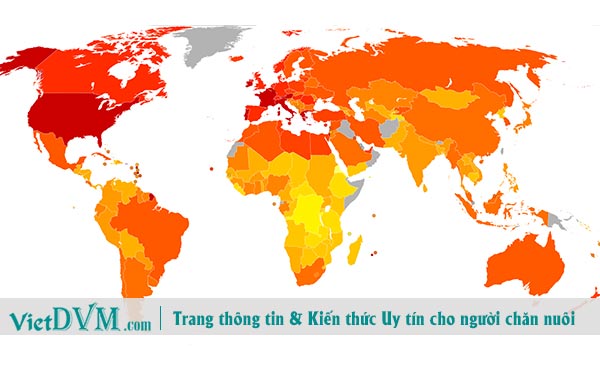 Ngành thức ăn chăn nuôi đang phải gánh chịu thêm những hậu quả của việc toàn cầu hóa. Ngành thức ăn chăn nuôi đang phải gánh chịu thêm những hậu quả của việc toàn cầu hóa.
