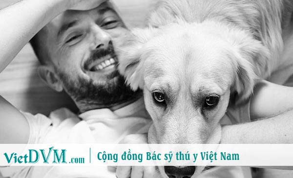 Chó không biết nói dối Chó không biết nói dối