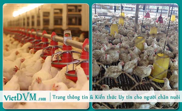 Đầu tư cơ sở vật chất hợp lý (ghép 2 ảnh 4A và 4B song song nhau). Đầu tư cơ sở vật chất hợp lý (ghép 2 ảnh 4A và 4B song song nhau).