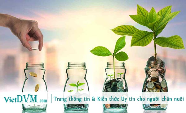Coi chi phí như một khoản đầu tư. Coi chi phí như một khoản đầu tư.