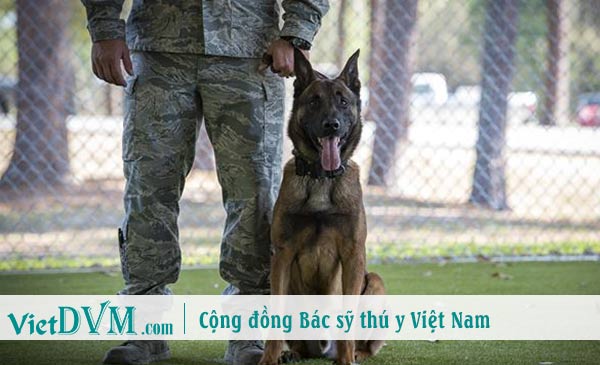 Chúng luôn tìm cách chiều chuộm bạn, luôn luôn là vậy Chúng luôn tìm cách chiều chuộm bạn, luôn luôn là vậy
