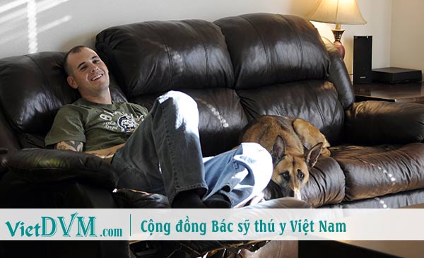 Tình cảm của bạn và chó của mình sẽ ngày càng thăm thiết Tình cảm của bạn và chó của mình sẽ ngày càng thăm thiết