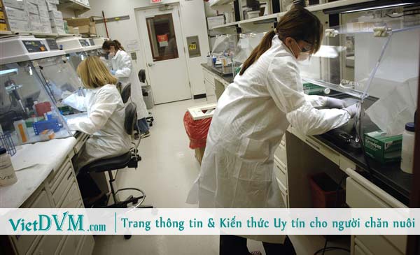 Liên kết với các trung tâm thú y có chuyên môn cao. Liên kết với các trung tâm thú y có chuyên môn cao.