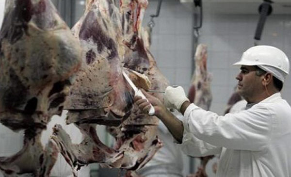 Nga cấm nhập khẩu thịt lợn và bò của Brazil từ 1/12/2017. Ảnh minh họa: Reuters Nga cấm nhập khẩu thịt lợn và bò của Brazil từ 1/12/2017. Ảnh minh họa: Reuters
