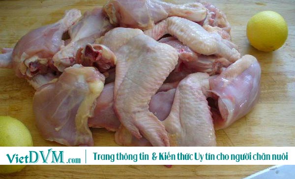 Sản lượng thịt gia cầm toàn cầu dự kiến tăng 1% vào năm 2018. Sản lượng thịt gia cầm toàn cầu dự kiến tăng 1% vào năm 2018.