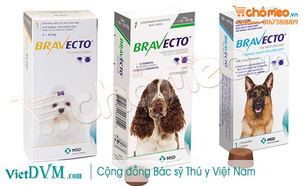 Bravector trị ghẻ Demodex hiệu quả Bravector trị ghẻ Demodex hiệu quả