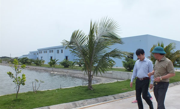 Không thể ngồi chờ cơ quan quản lí nhà nước tháo gỡ về thủ tục thú y, Cty Biển Đông đang phải hướng vào thị trường nội địa Không thể ngồi chờ cơ quan quản lí nhà nước tháo gỡ về thủ tục thú y, Cty Biển Đông đang phải hướng vào thị trường nội địa