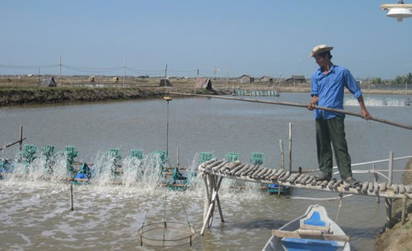 Ngành chức năng khuyến cáo nông dân không nên Ngành chức năng khuyến cáo nông dân không nên