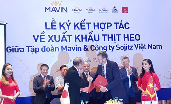 Tập đoàn Mavin: Doanh nghiệp Việt Nam đầu tiên xuất khẩu thịt heo thành công Tập đoàn Mavin: Doanh nghiệp Việt Nam đầu tiên xuất khẩu thịt heo thành công