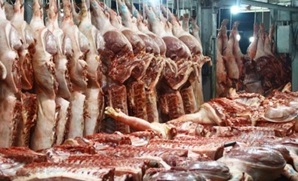 Thị trường 18 tỷ USD đang thu hút các doanh nghiệp trong và ngoài nước Thị trường 18 tỷ USD đang thu hút các doanh nghiệp trong và ngoài nước