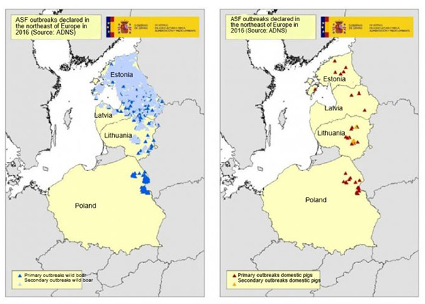 Bản đồ về các vụ dịch được công bố ở Estonia, Latvia, Lithuania và Ba Lan trong năm 2016 (Nguồn: hệ thống cảnh báo dịch bệnh động vật ADNS) Bản đồ về các vụ dịch được công bố ở Estonia, Latvia, Lithuania và Ba Lan trong năm 2016 (Nguồn: hệ thống cảnh báo dịch bệnh động vật ADNS)
