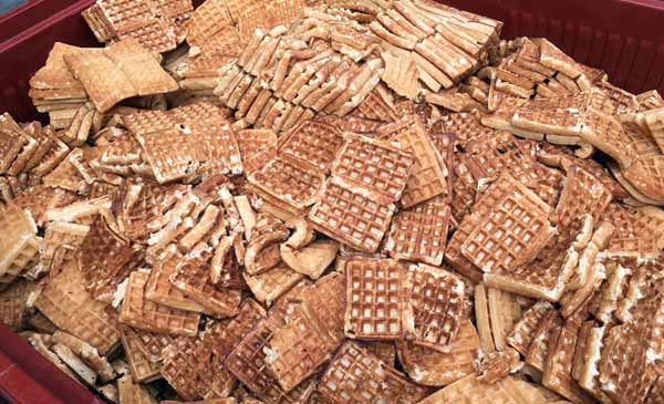 Bánh waffle làm thức ăn cho gà Bánh waffle làm thức ăn cho gà
