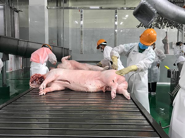 Dây chuyền giết mổ của Nhà máy Biển Đông DHS có tổng vốn đầu tư 300 tỉ đồng trên diện tích 20ha tại huyện Hải Hậu (tỉnh Nam Định). Dây chuyền giết mổ của Nhà máy Biển Đông DHS có tổng vốn đầu tư 300 tỉ đồng trên diện tích 20ha tại huyện Hải Hậu (tỉnh Nam Định).