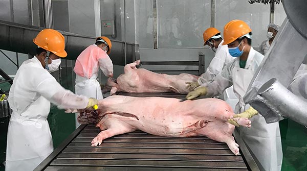 Với công suất giết mổ 300 con lợn mỗi giờ, nhà máy Biển Đông DHS sẽ góp phần phát triển vùng chăn nuôi lợn ổn định, đạt tiêu chuẩn an toàn dịch bệnh trên địa bàn tỉnh Nam Định và các tỉnh phụ cận. Với công suất giết mổ 300 con lợn mỗi giờ, nhà máy Biển Đông DHS sẽ góp phần phát triển vùng chăn nuôi lợn ổn định, đạt tiêu chuẩn an toàn dịch bệnh trên địa bàn tỉnh Nam Định và các tỉnh phụ cận.