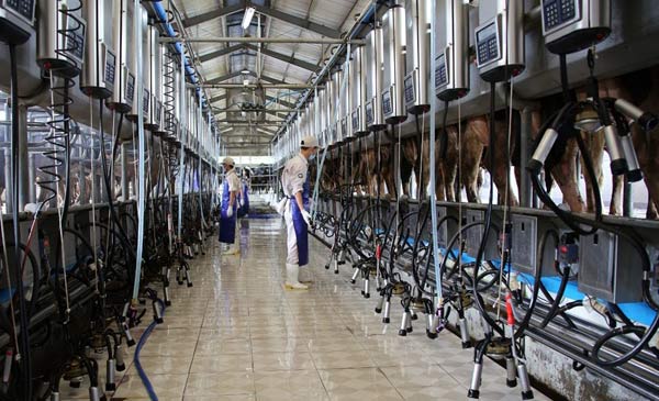 Bên cạnh thách thức, CPTPP cũng mở ra nhiều cơ hội XK cho sản phẩm chăn nuôi có thế mạnh của Việt Na Bên cạnh thách thức, CPTPP cũng mở ra nhiều cơ hội XK cho sản phẩm chăn nuôi có thế mạnh của Việt Na