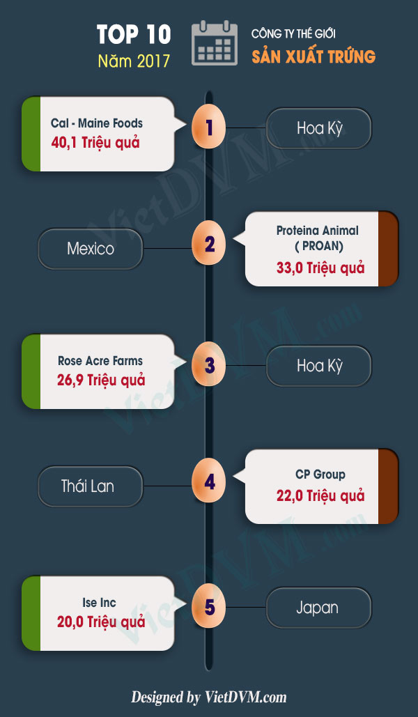 Top 10 công ty sản xuất trứng lớn nhất thế giới Top 10 công ty sản xuất trứng lớn nhất thế giới