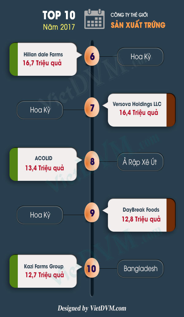 Top 10 công ty sản xuất trứng lớn nhất thế giới Top 10 công ty sản xuất trứng lớn nhất thế giới