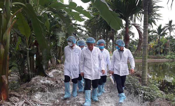 Đoàn công tác của Bộ NNPTNT do Bộ trưởng Nguyễn Xuân Cường dẫn đầu kiểm tra công tác phòng, chống dịch tả lợn châu Phi tại Hải Phòng ngày 2/3/2019. Đoàn công tác của Bộ NNPTNT do Bộ trưởng Nguyễn Xuân Cường dẫn đầu kiểm tra công tác phòng, chống dịch tả lợn châu Phi tại Hải Phòng ngày 2/3/2019.