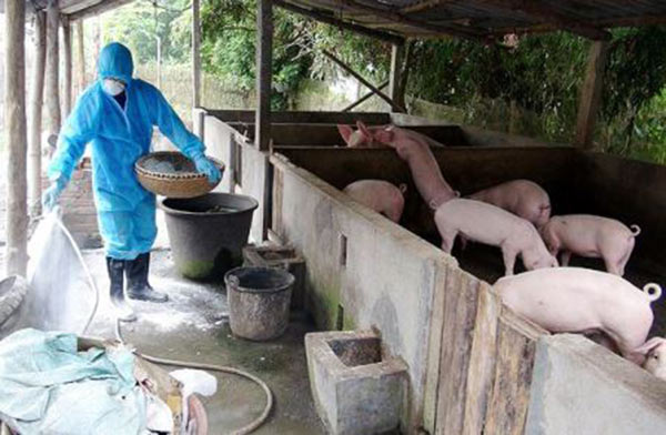 Cục Thú y khẳng định: Dịch tả lợn châu Phi không lây sang người, không nguy hiểm đến sức khỏe con người nên không cần thiết phải ban bố tình trạng khẩn cấp quốc gia như khuyến nghị của FAO. Cục Thú y khẳng định: Dịch tả lợn châu Phi không lây sang người, không nguy hiểm đến sức khỏe con người nên không cần thiết phải ban bố tình trạng khẩn cấp quốc gia như khuyến nghị của FAO.