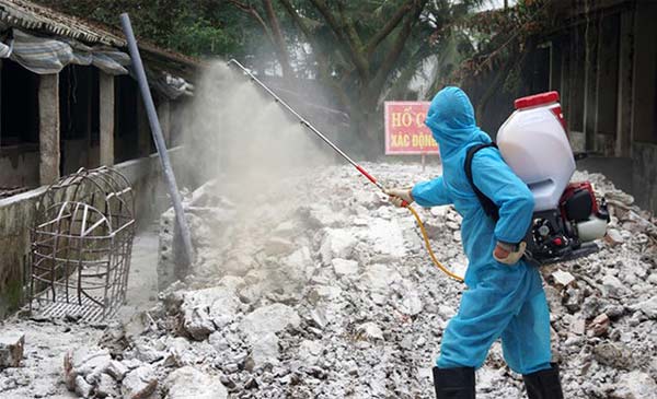 Đã có 18 tỉnh, thành phố xuất hiện dịch tả lợn châu Phi Đã có 18 tỉnh, thành phố xuất hiện dịch tả lợn châu Phi