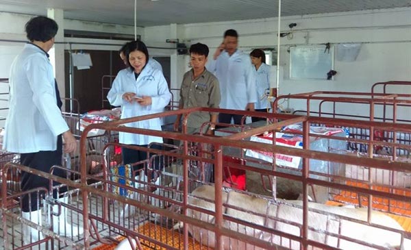 Toàn tỉnh Thái Bình hiện nay chỉ có vỏn vẹn 80 cơ sở chăn nuôi (trong tổng số 570 trang trại) có chứng nhận an toàn dịch bệnh và tham gia chương trình giám sát dịch bệnh hàng năm Toàn tỉnh Thái Bình hiện nay chỉ có vỏn vẹn 80 cơ sở chăn nuôi (trong tổng số 570 trang trại) có chứng nhận an toàn dịch bệnh và tham gia chương trình giám sát dịch bệnh hàng năm