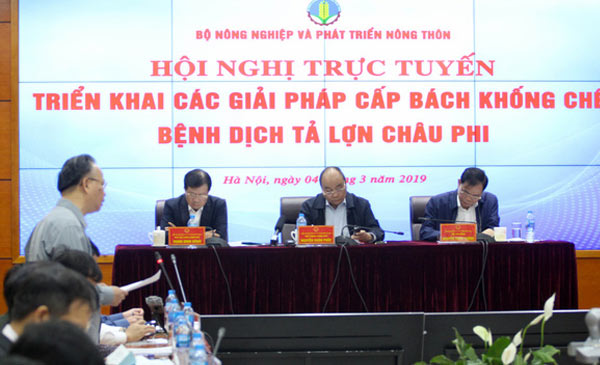 Lãnh đạo UBND TP Hà Nội báo cáo về công tác phòng chống và tình hình dịch bệnh tả lợn châu Phi tại địa phương Lãnh đạo UBND TP Hà Nội báo cáo về công tác phòng chống và tình hình dịch bệnh tả lợn châu Phi tại địa phương