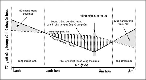 Vùng nhiệt độ cho hiệu suất tối ưu Vùng nhiệt độ cho hiệu suất tối ưu