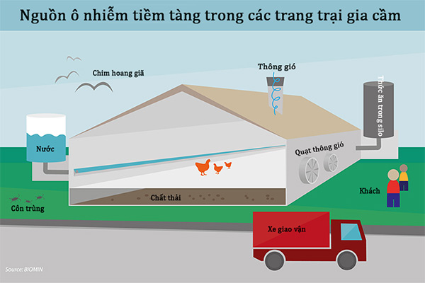 Các nguồn ô nhiễm tiềm tàng trên các trang trại chăn nuôi gà Các nguồn ô nhiễm tiềm tàng trên các trang trại chăn nuôi gà