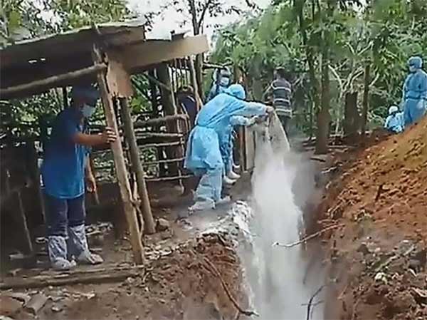 Cơ quan chức năng tíến hành tiêu độc, khử trùng và tiêu hủy đàn heo bị mắc bệnh dịch tả heo châu Phi của hộ ông Bùi Thanh Bình (khu phố 7, phường Phước Hưng, TP. Bà Rịa). Ảnh: TP. Cơ quan chức năng tíến hành tiêu độc, khử trùng và tiêu hủy đàn heo bị mắc bệnh dịch tả heo châu Phi của hộ ông Bùi Thanh Bình (khu phố 7, phường Phước Hưng, TP. Bà Rịa). Ảnh: TP.