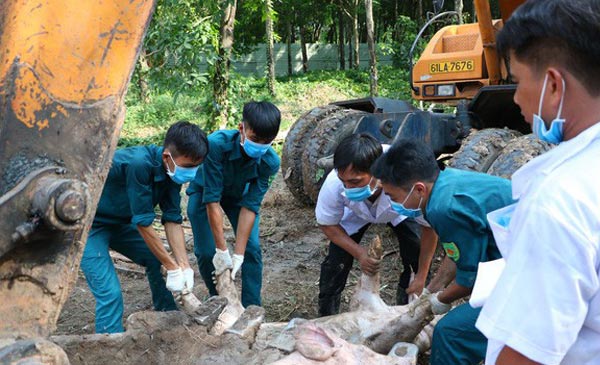 Chính phủ cũng ban hành quy định dùng Ngân sách Trung ương hỗ trợ các địa phương bị thiệt hại do dịch. (Ảnh: Báo Tuổi Trẻ). Chính phủ cũng ban hành quy định dùng Ngân sách Trung ương hỗ trợ các địa phương bị thiệt hại do dịch. (Ảnh: Báo Tuổi Trẻ).