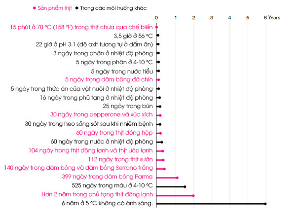 Thời gian sống của virus trong một số môi trường Thời gian sống của virus trong một số môi trường