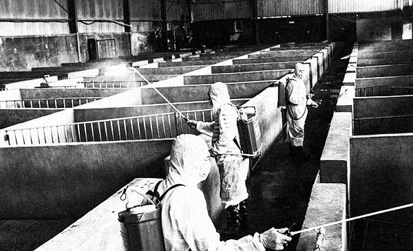 Công nhân đang phun thuốc sát trùng tại một trang trại ở Kim Hoa, Chiết Giang, Trung Quốc. Công nhân đang phun thuốc sát trùng tại một trang trại ở Kim Hoa, Chiết Giang, Trung Quốc.