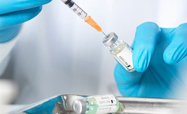 Hiện vaccine về bệnh dịch tả heo châu Phi chưa được phát triển thành công Hiện vaccine về bệnh dịch tả heo châu Phi chưa được phát triển thành công