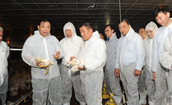 Bộ trưởng Nguyễn Xuân Cường thăm trại gà thịt công nghiệp Bộ trưởng Nguyễn Xuân Cường thăm trại gà thịt công nghiệp