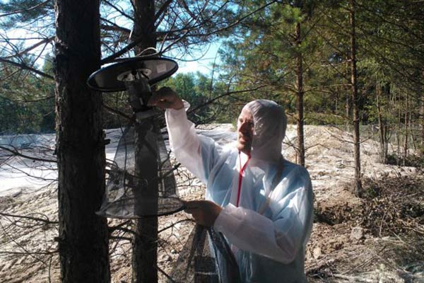 René Bødker đang làm trống một cái bẫy ruồi ở khu vực chôn heo nhiễm ASF ở Baltics René Bødker đang làm trống một cái bẫy ruồi ở khu vực chôn heo nhiễm ASF ở Baltics