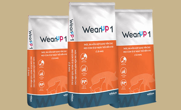 Wean Up 1 thức ăn đặc biệt dùng cho heo con Wean Up 1 thức ăn đặc biệt dùng cho heo con