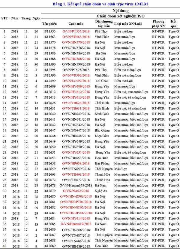 Kết quả chẩn đoán và định type virus gây bệnh LMLM trên heo Kết quả chẩn đoán và định type virus gây bệnh LMLM trên heo