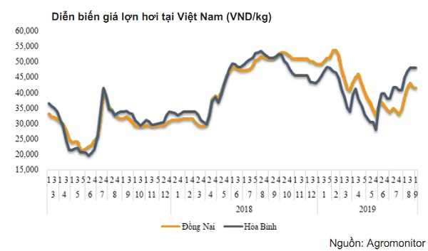 Diễn biến giá heo tại Việt Nam (vnđ/kg) Diễn biến giá heo tại Việt Nam (vnđ/kg)