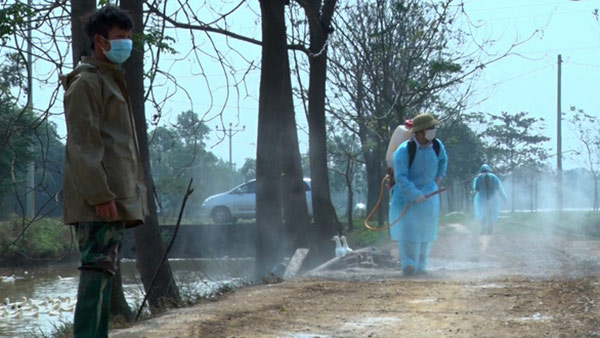 Lực lượng chức năng phun thuốc khử trùng phòng chống dịch cúm gia cầm tại xã Phú Nghĩa, huyện Chương Mỹ, Hà Nội – Ảnh: P. HẠNH Lực lượng chức năng phun thuốc khử trùng phòng chống dịch cúm gia cầm tại xã Phú Nghĩa, huyện Chương Mỹ, Hà Nội – Ảnh: P. HẠNH