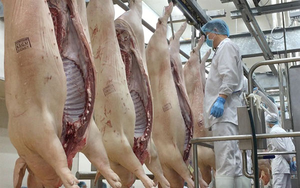 Chính phủ giao Bộ Công thương lập đoàn kiểm tra liên ngành, xử lí nghiêm nếu có hiện tượng lợi dụng tình hình dịch bệnh để găm hàng, thao túng giá thịt lợn. Chính phủ giao Bộ Công thương lập đoàn kiểm tra liên ngành, xử lí nghiêm nếu có hiện tượng lợi dụng tình hình dịch bệnh để găm hàng, thao túng giá thịt lợn.