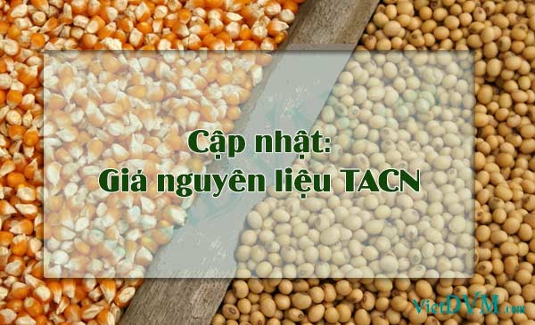 Nhập khẩu thức ăn chăn nuôi và nguyên liệu Việt Nam 2 tháng đầu năm 2020 giảm 20,7% Nhập khẩu thức ăn chăn nuôi và nguyên liệu Việt Nam 2 tháng đầu năm 2020 giảm 20,7%