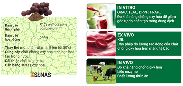 Nor-Grape® một sản phẩm có chất chống oxy hóa tự nhiên được chiết xuất từ hạt và vỏ nho Nor-Grape® một sản phẩm có chất chống oxy hóa tự nhiên được chiết xuất từ hạt và vỏ nho