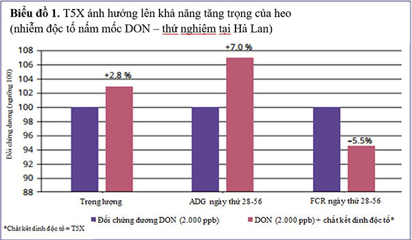 Biểu đồ 1: T5X ảnh hưởng lên khả năng tăng trọng của heo Biểu đồ 1: T5X ảnh hưởng lên khả năng tăng trọng của heo