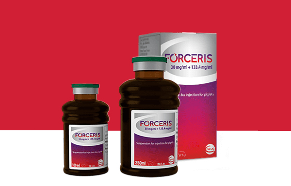 Sản phẩm Forceris - giải pháp 2 trong 1 kiểm sóat thiếu sắt và cầu trùng trên heo con Sản phẩm Forceris - giải pháp 2 trong 1 kiểm sóat thiếu sắt và cầu trùng trên heo con