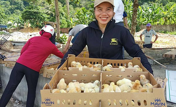 Mavin công bố gói hỗ trợ sinh kế 2 tỷ đồng cho đồng bào miền Trung Mavin công bố gói hỗ trợ sinh kế 2 tỷ đồng cho đồng bào miền Trung