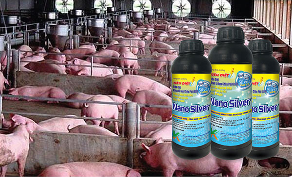 Sản phẩm có thể dùng trong chăn nuôi heo Sản phẩm có thể dùng trong chăn nuôi heo