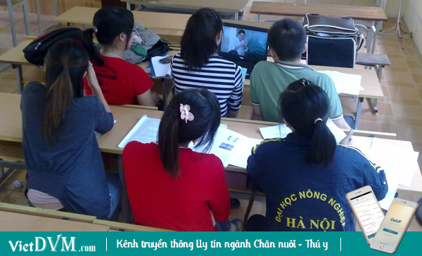 Thời gian trước, sinh viên Chăn nuôi - Thú y có mức học hỏi và tìm hiểu rất tốt Thời gian trước, sinh viên Chăn nuôi - Thú y có mức học hỏi và tìm hiểu rất tốt