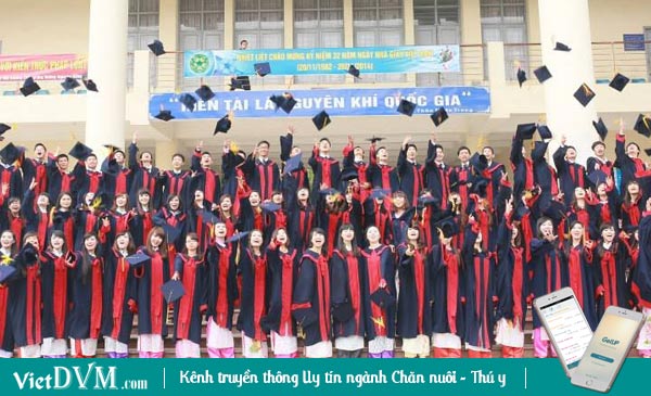 Mỗi năm, ngành Chăn nuôi - Thú y đón cả ngàn nhân sự mới Mỗi năm, ngành Chăn nuôi - Thú y đón cả ngàn nhân sự mới