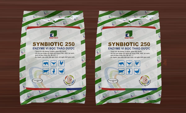 Sản phẩm ENZYME VI BỌC THẢO DƯỢC – SYNBIOTIC 250 Sản phẩm ENZYME VI BỌC THẢO DƯỢC – SYNBIOTIC 250